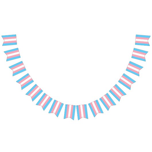 トランスジェンダー国旗パーティーシンボルや象徴バナー バンティングフラッグ (全)