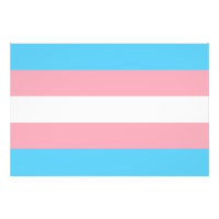トランスジェンダー国旗trans lgbt lgbtqゲイレズビアン・ホモ