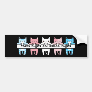 トランスジェンダー·フラグCat Trans権利は人権 バンパーステッカー