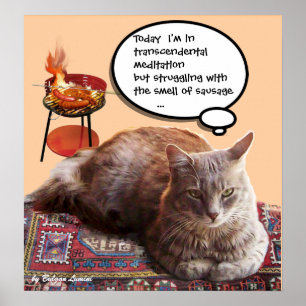 トランスセンデンタル・メディテーションのトルコ猫 ポスター