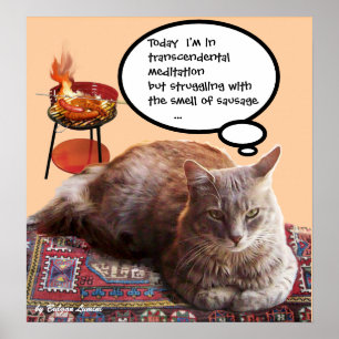 トランスセンデンタル・メディテーションのトルコ猫 ポスター
