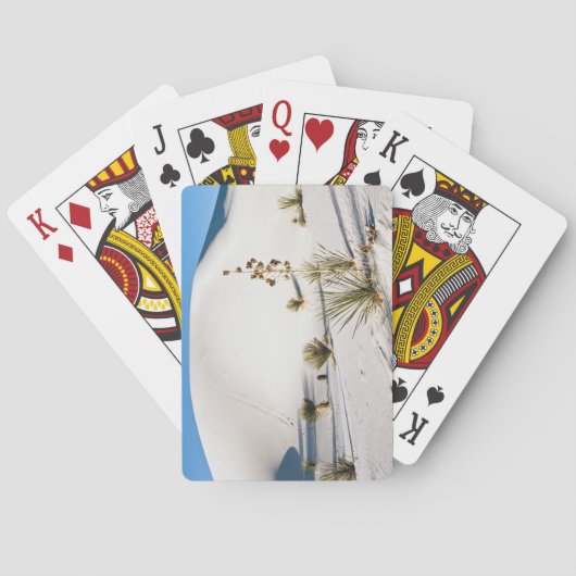 トランスバースデューンズアンドソープツリーユッカ トランプ (裏面)