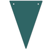 トランスフォーマティブ ティール バンティングフラッグ (第3の旗)