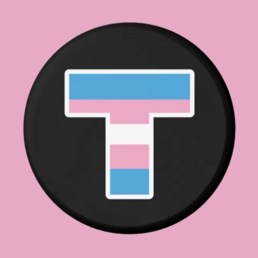 トランスプライドキャピタルTマグネット マグネット