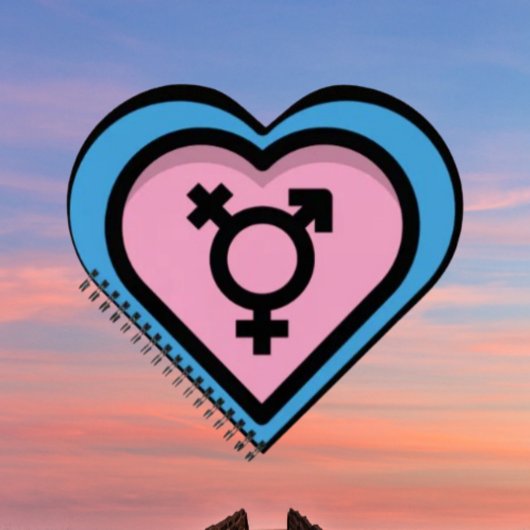 トランスプライドスパイラルノートのハート ノートブック