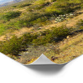 トランスペコス山地、テキサス州 ポスター (角)