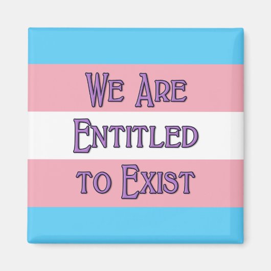 トランス我々… マグネット (正面)