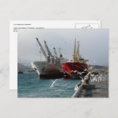 トランパーズ&シーグルス，オランダハーバー， AK ポストカード (正面/裏面)