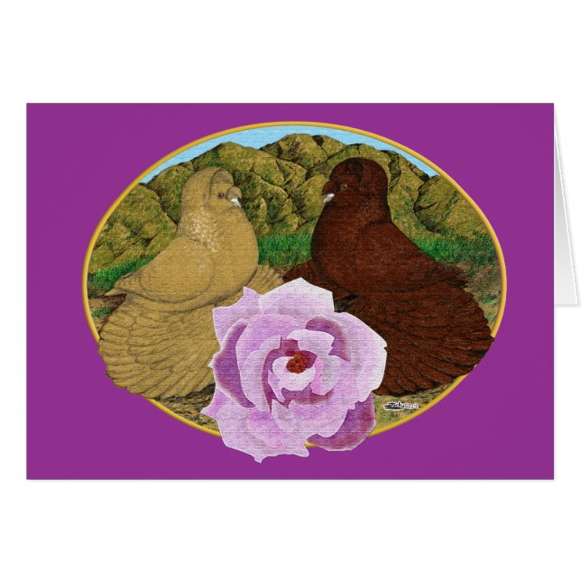 トランピーターピジョンとバラ (正面横)