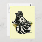 トランピーターピジョンダーク・スプラッシュ ポストカード (正面/裏面)