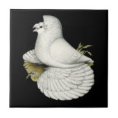 トランピーターピジョンホワイト タイル (正面)