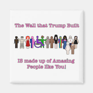 トランプが建てた壁 マグネット