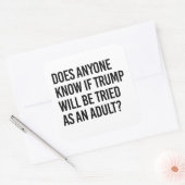 トランプが成人として裁判を受ける可能性はあるのか誰か知ってる？ スクエアシール (封筒)