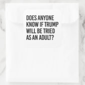 トランプが成人として裁判を受ける可能性はあるのか誰か知ってる？ スクエアシール (バッグ)