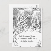 トランプのはがきの夏 ポストカード (正面/裏面)