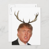 トランプのクリスマス:鹿の大統領 シーズンポストカード (正面/裏面)