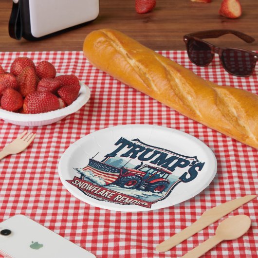 トランプのスノーフレークレムバルサービスの就任式の日 ペーパープレート (ピクニック)