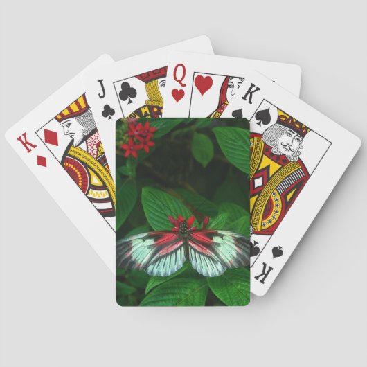 トランプのポーカーカード トランプ (裏面)