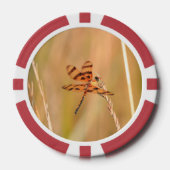 トランプのポーカーチップとトンボとハチドリ写真 ポーカーチップ (正面)