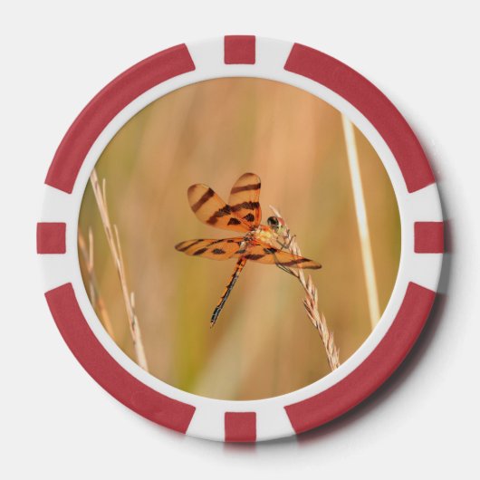 トランプのポーカーチップとトンボとハチドリ写真 ポーカーチップ (正面)