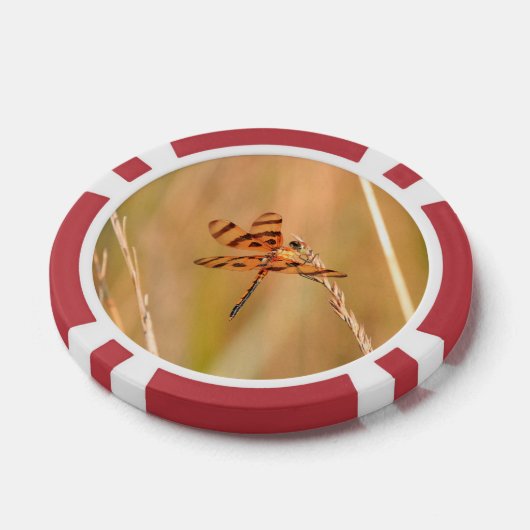 トランプのポーカーチップとトンボとハチドリ写真 ポーカーチップ (シングル)