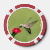 トランプのポーカーチップとトンボとハチドリ写真 ポーカーチップ (裏面)