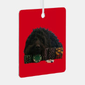 トランプのポーカードッグメタルオーナメント メタルオーナメント (正面右)