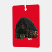 トランプのポーカードッグメタルオーナメント メタルオーナメント (正面左)