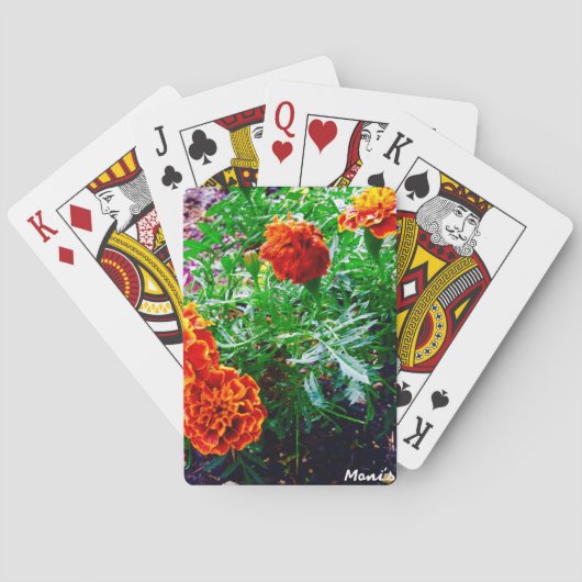 トランプの自然 トランプ (裏面)