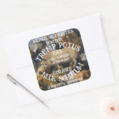 トランプの首の陰嚢が妊娠していることを確認 スクエアシール (封筒)