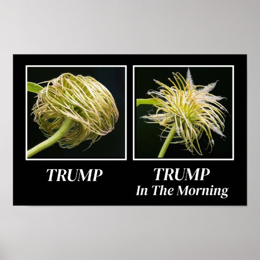 トランプの髪型 ポスター (正面)