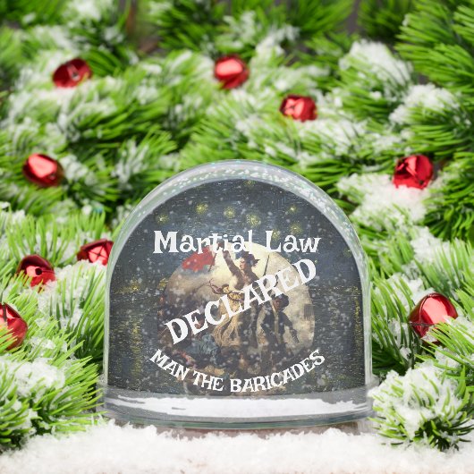 トランプは武術法律家をバリケードと宣言 (クリスマス)