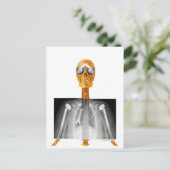 トランプへのアドレス指定済みポストカードTrumpcare ポストカード (スタンド正面)