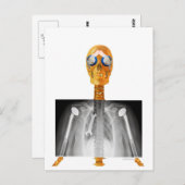 トランプへのアドレス指定済みポストカードTrumpcare ポストカード (正面/裏面)