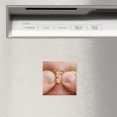 トランプを妨害する マグネット (インサイチュ (食洗機))