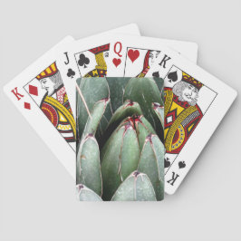 トランプアロエ トランプ