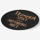 トランプキンスパイスニース ペーパープレート (アングル)