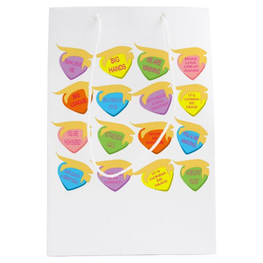 トランプキンローヴィン抱き枕 ミディアムペーパーバッグ (正面)