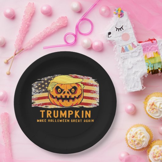 トランプキン再び素晴らし米国国旗をおもしろい作る ペーパープレート (パーティー)