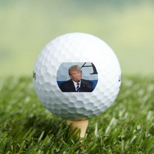 トランプゴルフボール(トランプスマイル) ゴルフボール (インサイチュ 木)