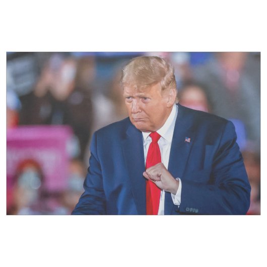 トランプダンおもしろいス ファブリック (ヤード)