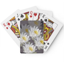 トランプホワイトワイルドウォーターリリー画像