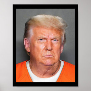 トランプマグショット1 ポスター