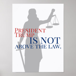 トランプ大統領は法廷女裁判官の上に立たない ポスター