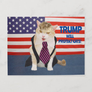 トランプ子猫はがき ポストカード