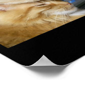 トランプ猫9人はトランプ2024票おもしろい投票で生活している ポスター (角)