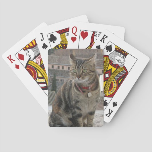 トランプ猫 トランプ (裏面)