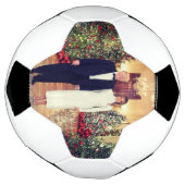 トランプ米大統領ホワイトハウスクリスマス サッカーボール (回転)