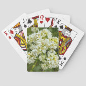 トランプ (裏面)