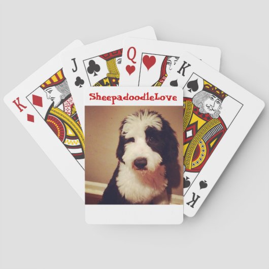 トランプ (裏面)